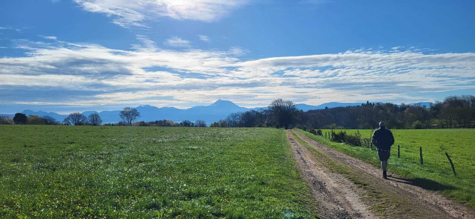 Eine Person geht auf einem Feldweg durch ein grünes Feld, im Hintergrund sind Berge zu sehen.