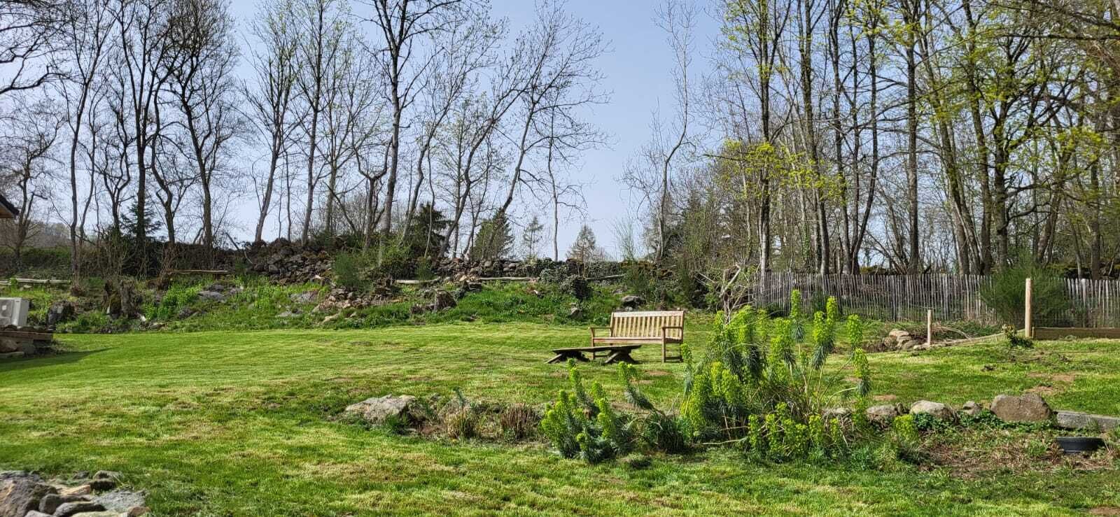 A grassy area with a wooden bench, trees, and a fence.