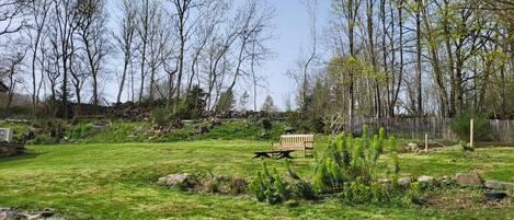 A grassy area with a wooden bench, trees, and a fence.