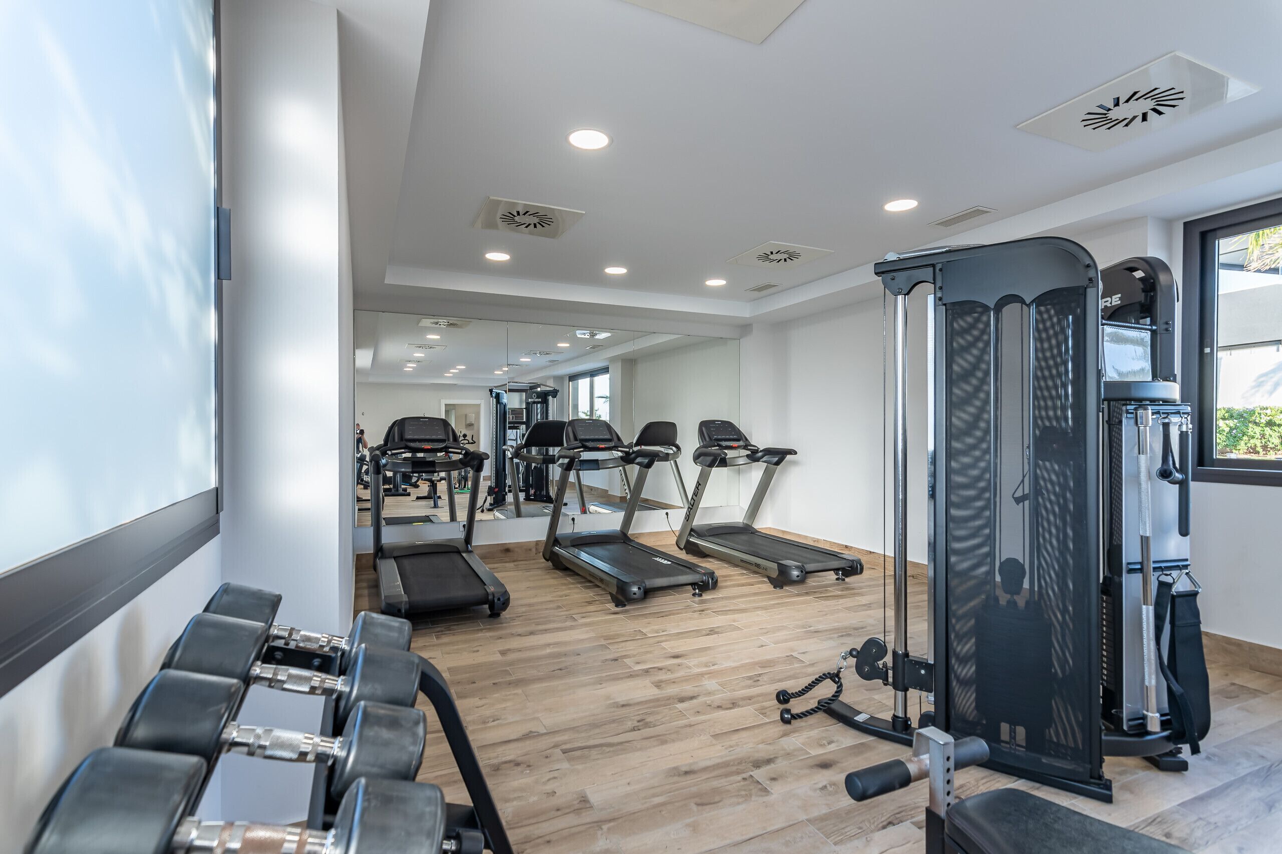 A modern gym with treadmills, dumbbells, and weight machines.