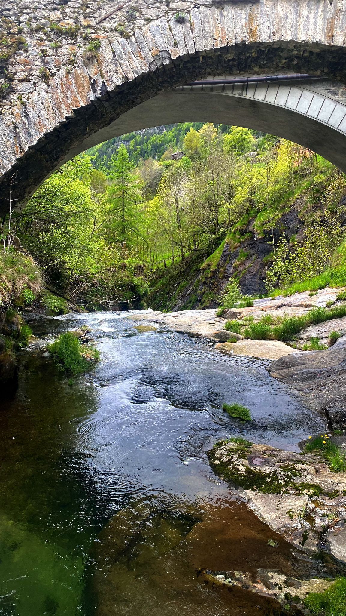 A stone bridge over a flowing river with surrounding greenery.