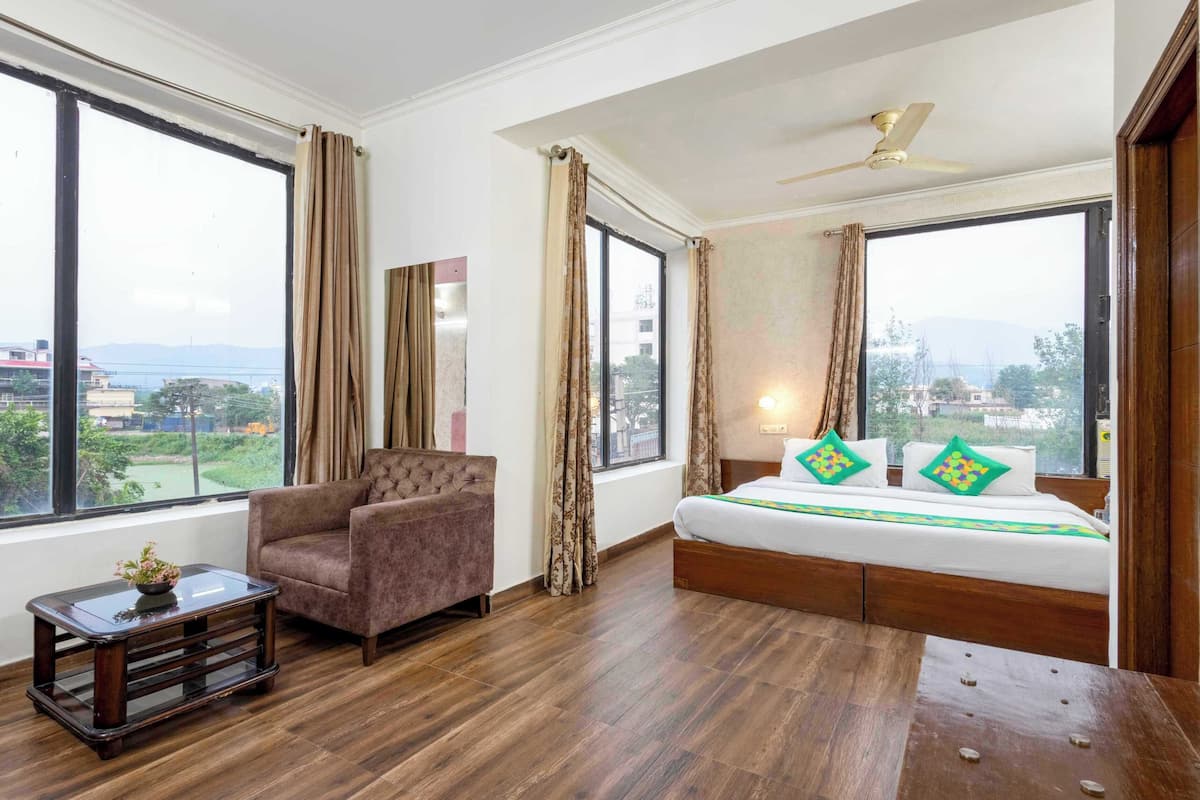A hotel room with a large bed, a chair, a small table with a plant, and large windows offering a view of the city.