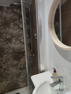 Shower, hair dryer, soap, toilet paper