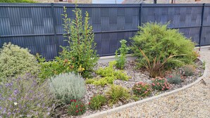 Un jardín con diversas plantas y flores, un camino de grava y una valla de madera al fondo.