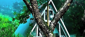 Tree Nature Resort