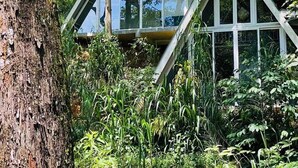 A treehouse with a triangular roof and large windows, surrounded by dense foliage.