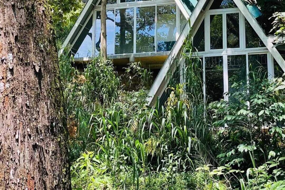 A treehouse with a triangular roof and large windows, surrounded by dense foliage.