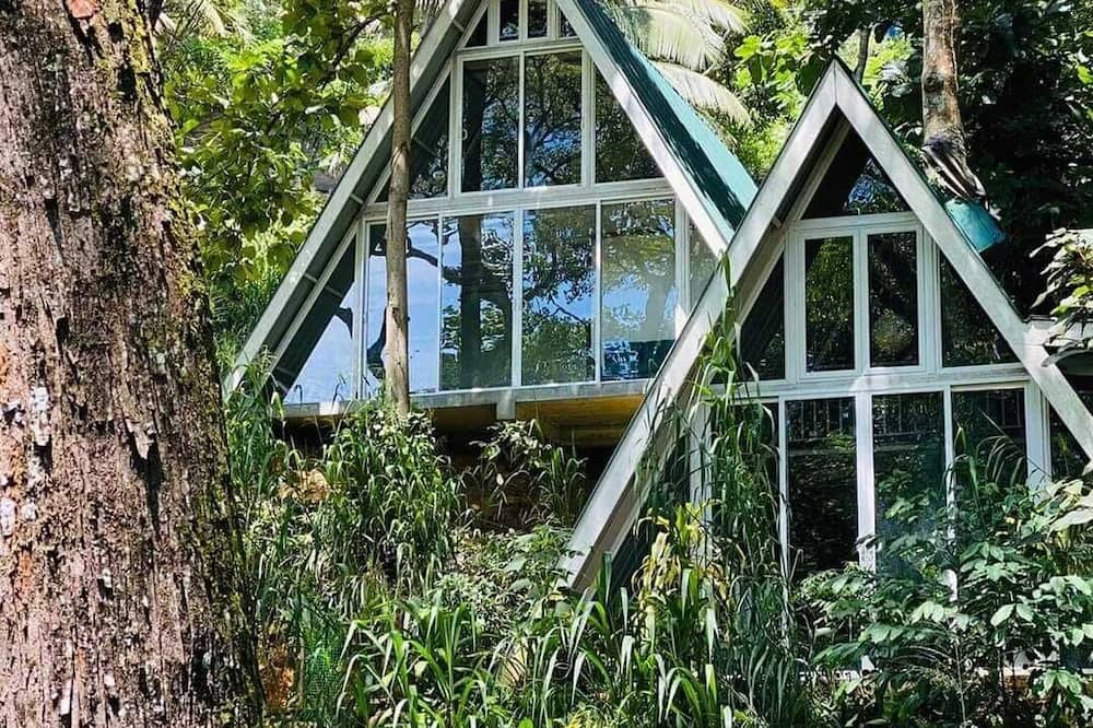 Tree Nature Resort