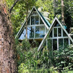 A treehouse with a triangular roof and large windows, surrounded by dense foliage. - Tree Nature Resort (Badulla)