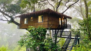 A treehouse with a thatched roof, multiple windows, and a staircase leading to a balcony.