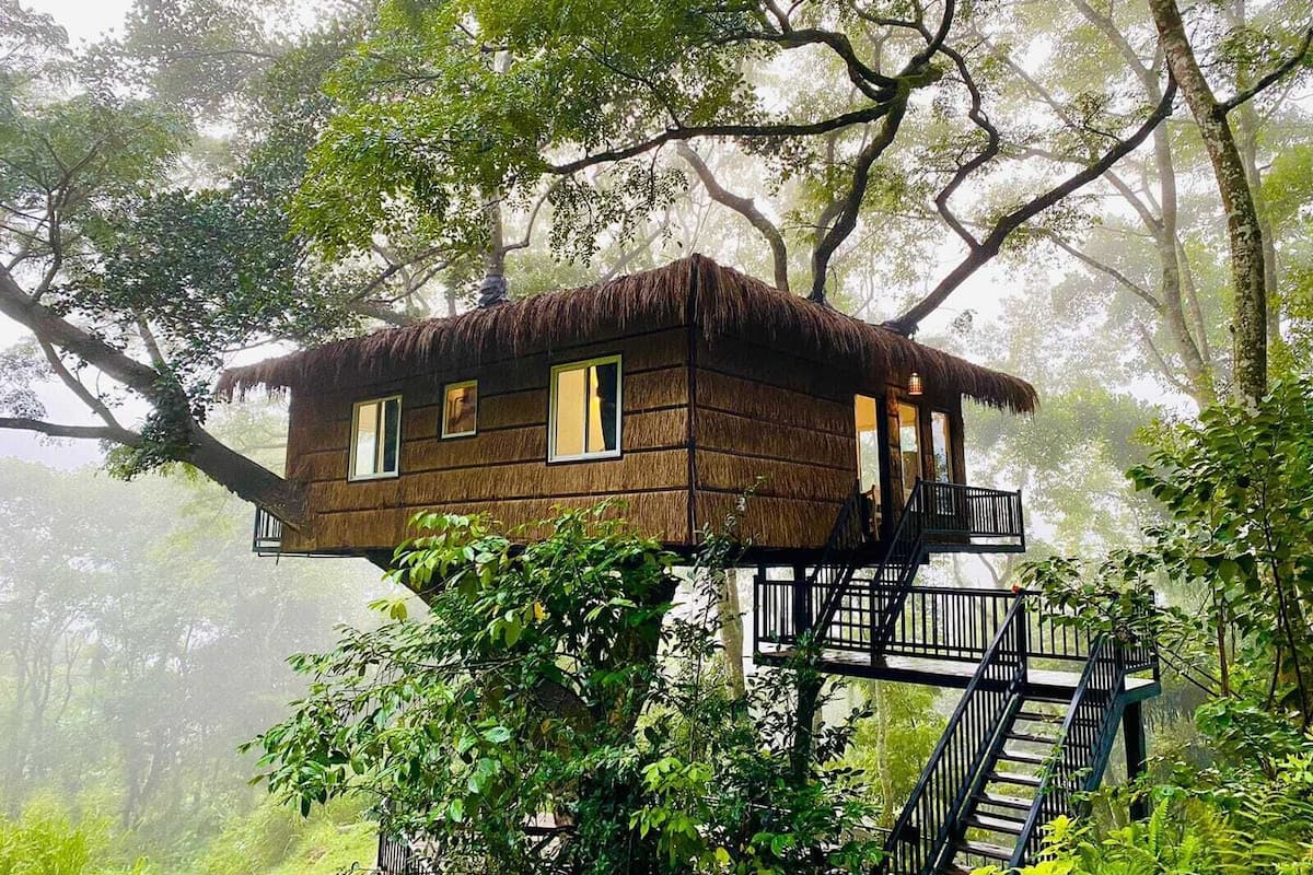 A treehouse with a thatched roof, multiple windows, and a staircase leading to a balcony.