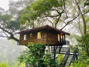 A treehouse with a thatched roof, multiple windows, and a staircase leading to a balcony.