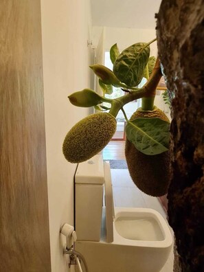 Dandubasnamanaya - Luxury Tree-Top House | Bathroom | Shower, rainfall showerhead, hair dryer, bathrobes - Tree Nature Resort (Badulla)