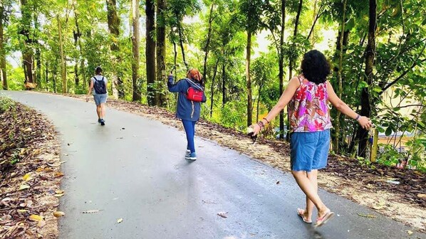 A paved path in a forested area with three people walking. - Tree Nature Resort (Badulla)
