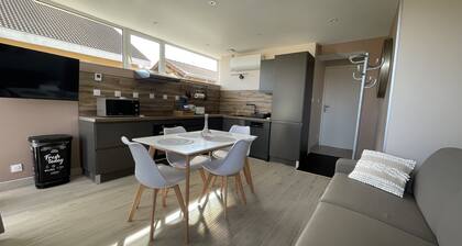 Suite privative au pied des montagnes isere