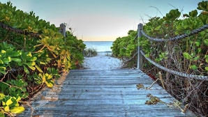 En trägång som leder till en strand, med tät vegetation på båda sidor.