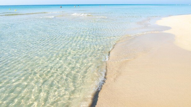 Beach nearby, white sand, 2 beach bars - Hotel Gold Beach (Salve)