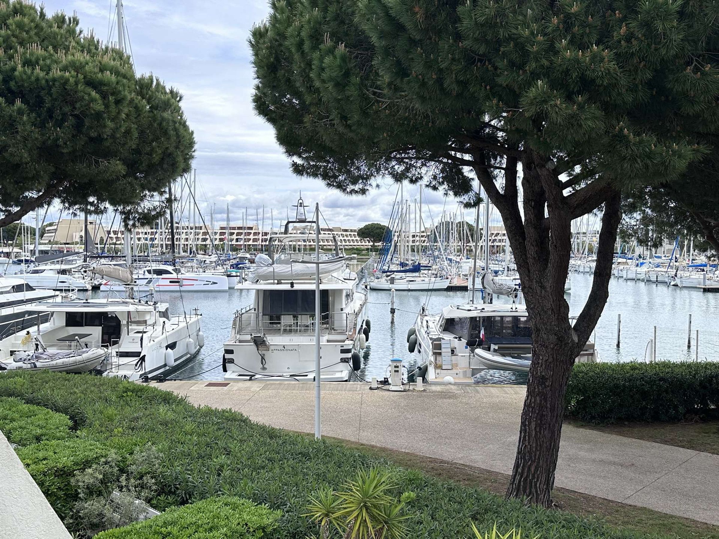 A marina with multiple boats docked, a tree in the foreground, and a clear sky.