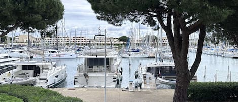 A marina with multiple boats docked, a tree in the foreground, and a clear sky.