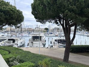 A marina with multiple boats docked, a tree in the foreground, and a clear sky.
