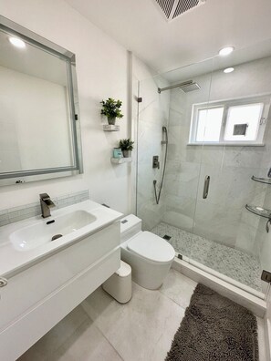 Shower, hair dryer