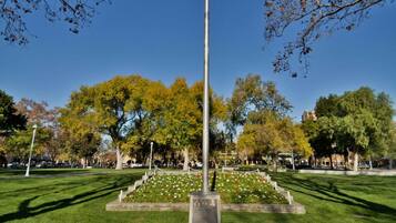Een park met een centraal monument, verzorgd gras en bomen met herfstkleuren.