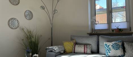 TV, lettore DVD, libri