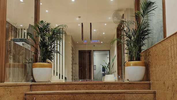A set of marble stairs leading to a reception area with glass doors, potted plants, and a ceiling with hanging leaves.