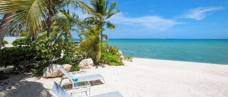 Accommodatie ligt op het strand, ligstoelen, strandlakens