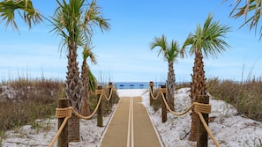 A sandy pathway leading to beach chairs under palm trees.
