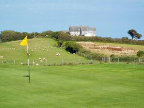 Ein Golfplatz mit Fahne, ein Haus im Hintergrund und Schafe, die auf dem Hügel weiden.