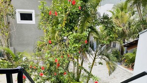 Un escalier avec des rampes noires menant à un palier, lequel est entouré d’une végétation luxuriante et de fleurs rouges.