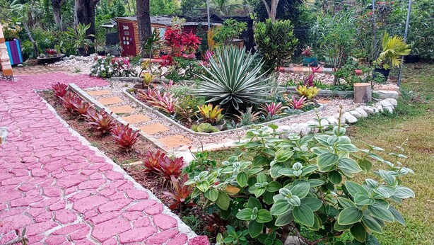 A garden with a paved walkway, various plants, and a small wooden structure. - Private Garden Villa in Manchester's Cool Highlands  (Cross keys)