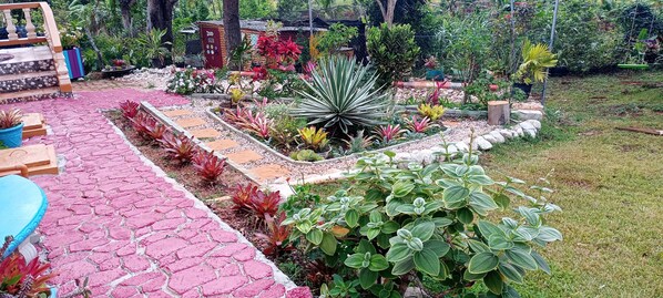 A garden with a paved walkway, various plants, and a small wooden structure.