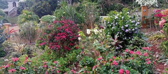 2-bedroom apartment in delightful Cross Keys with WiFi. Best climate in Jamaica.