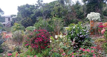 2-bedroom apartment in delightful Cross Keys with WiFi. Best climate in Jamaica.