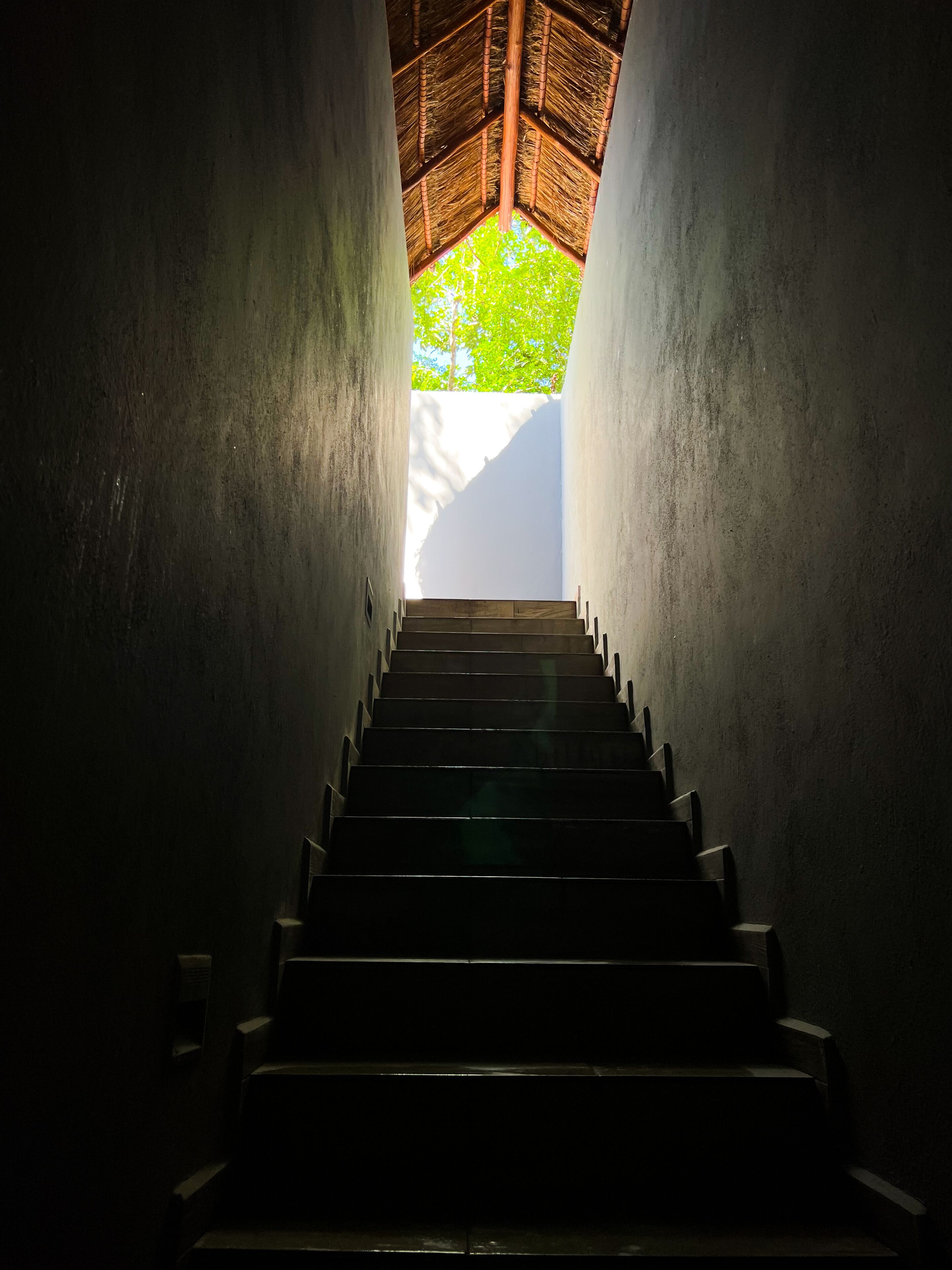 Un escalier menant vers le haut, d’où l’on peut admirer un arbre verdoyant à travers une structure de toit en chaume.