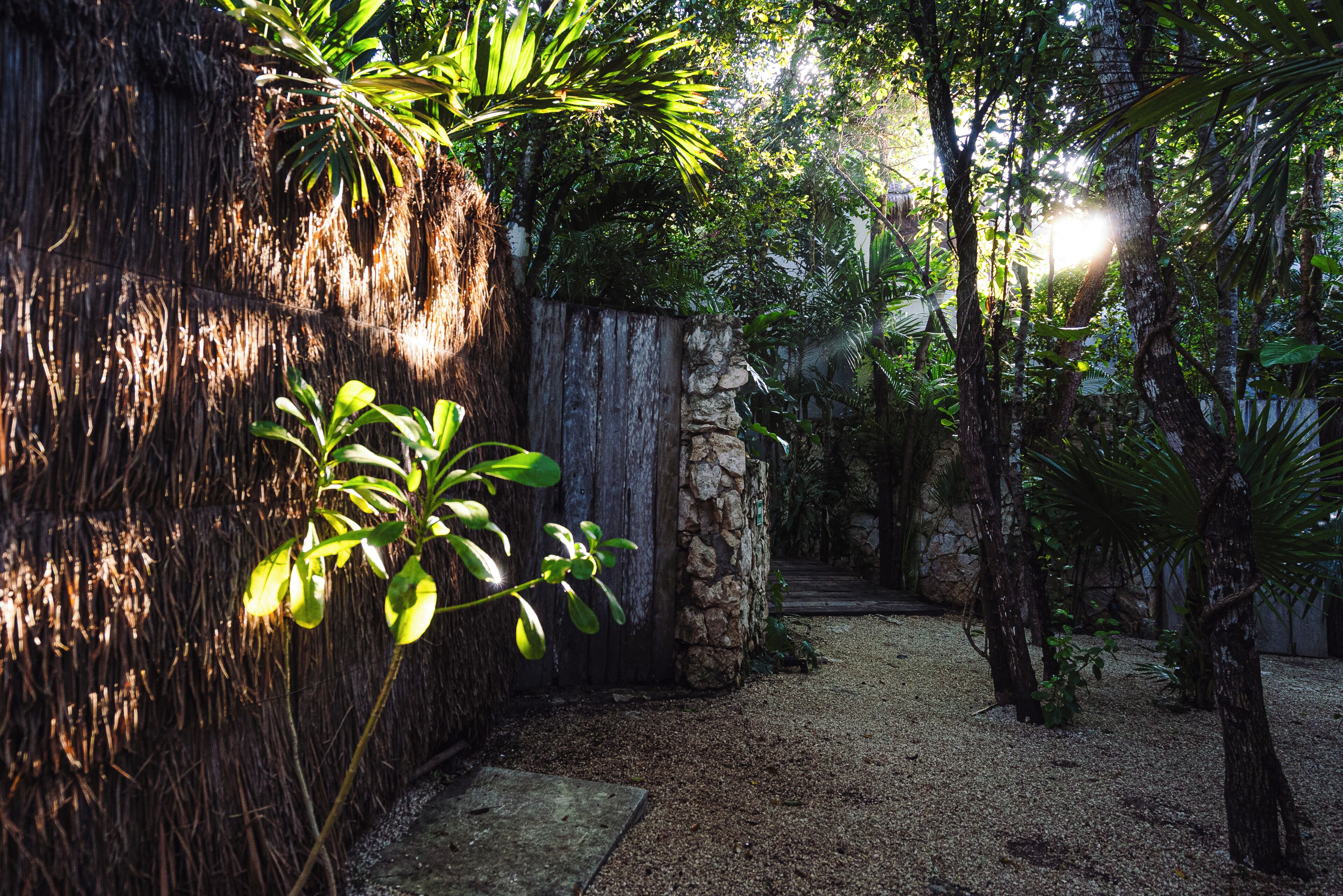 A garden pathway with a thatched wall, stone pillar, and tropical plants.