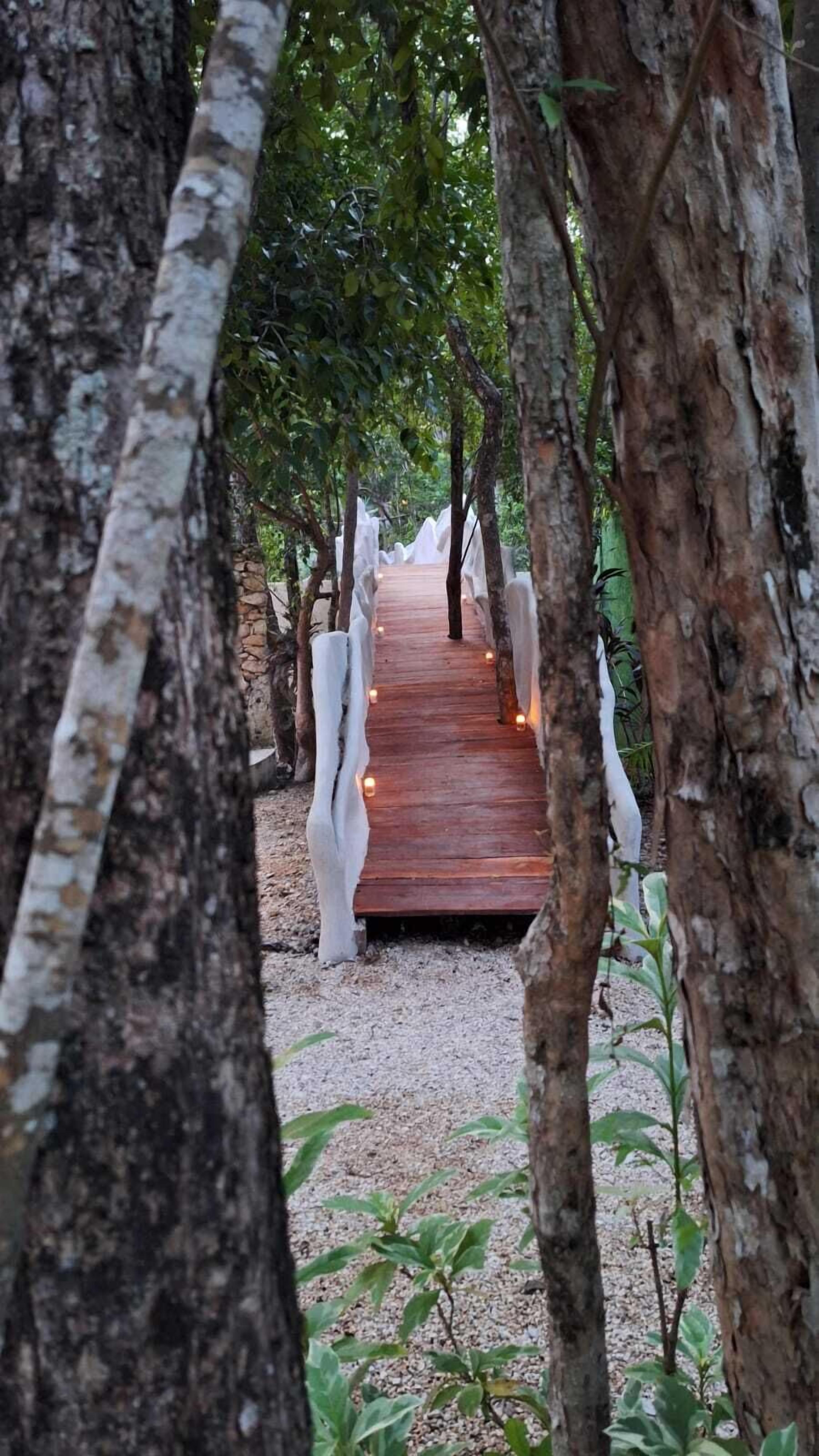 A wooden pathway flanked by trees with white structures on either side, leading to a wooden deck.