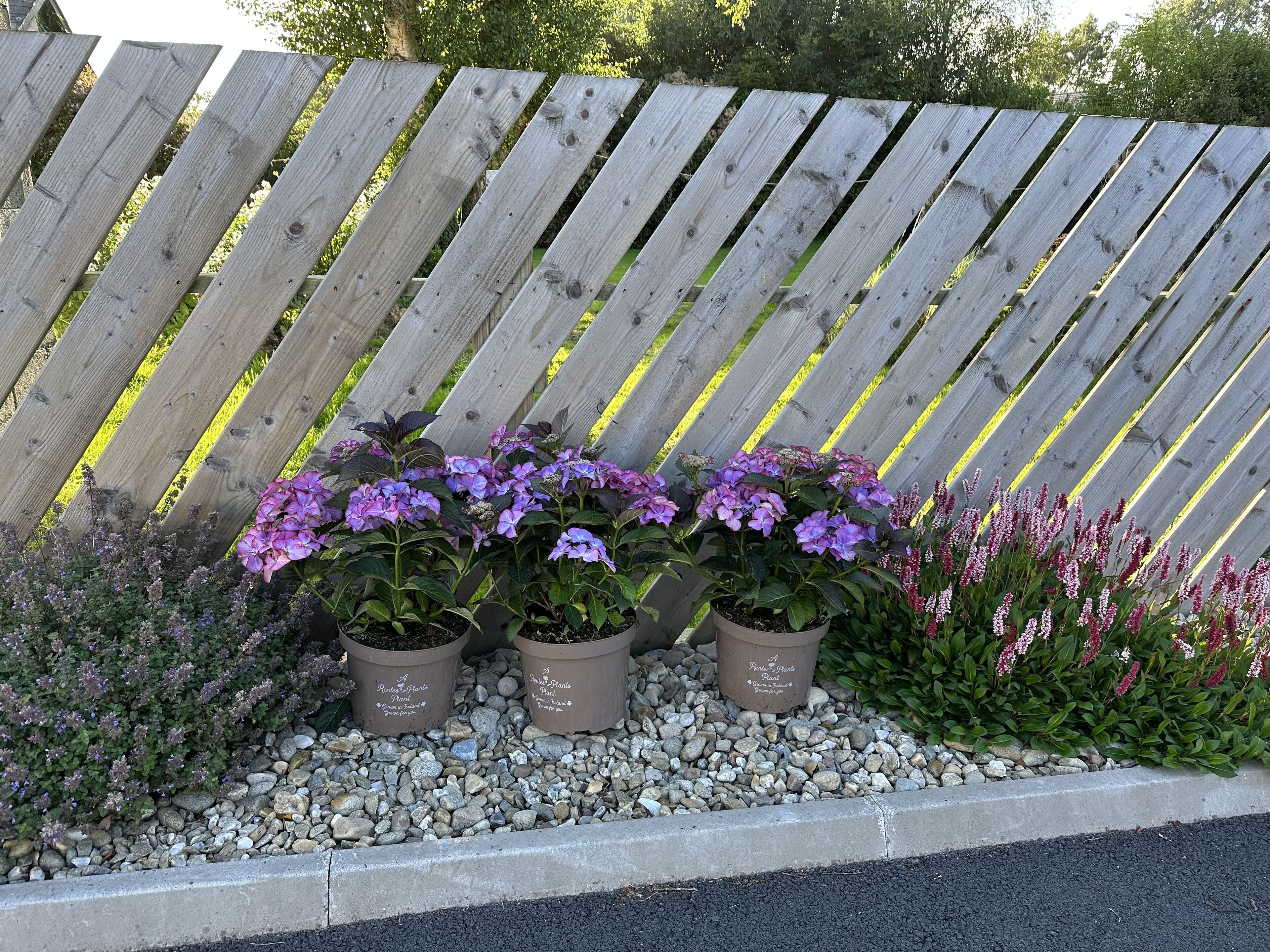 A wooden fence with potted plants in front.
