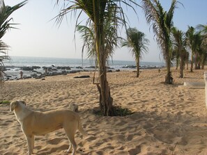 Spiaggia