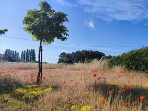 المنطقة المحيطة بالمنشأة