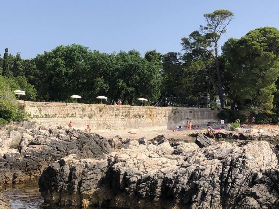 Een rotsachtige kustlijn met helder water, een stenen muur en bomen op de achtergrond.