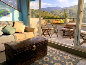 Smart TV, fireplace, books