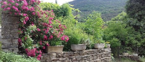 Terrain de lâhĂ©bergement