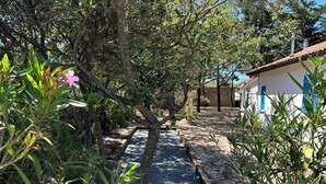 A narrow pathway flanked by dense foliage and a building with a tiled roof. - Quiet house 200 meters from the ocean (Vendays-Montalivet)