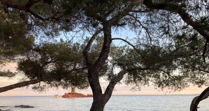 A deux pas des golfs de Valescure