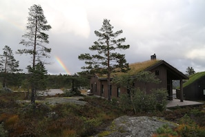 Exterior - Cosy cottage in quiet surroundings in the southern Norwegian mountains (Bortelid)