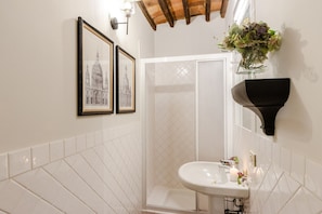 Shower, hair dryer, bidet, towels