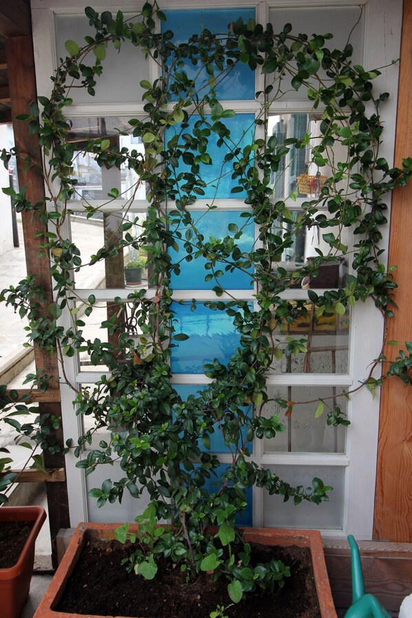 Detalle del exterior